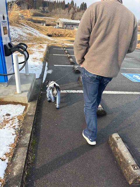 B747176C-9DFE-4240-B90F-6ED8DB612F84