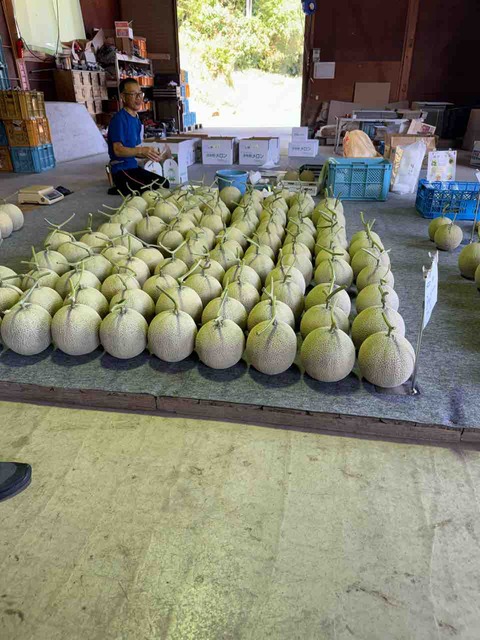 8CE8A8B1-935E-4C6D-8EAF-04C65502E577