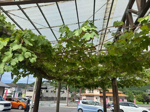 1ED4D349-09EA-4AC2-AC64-3D1AA2963EF7