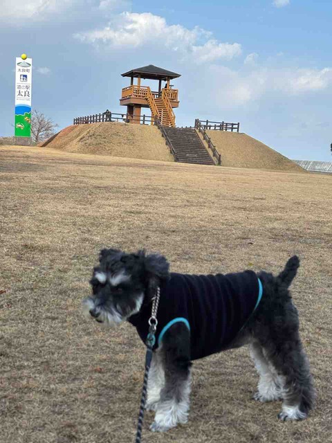 1277326D-7925-472C-908A-99E63DD121A6