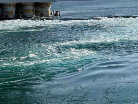 6F3155E7-B98A-4591-BA65-35EC1E4B2196