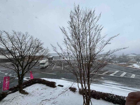 C8917633-1B41-4193-A5F8-7F7E936FC7DE