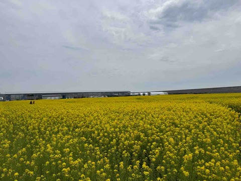 8CCC9AB5-2D26-4B93-9FA7-3D7542F474B6