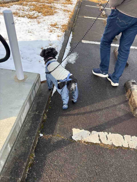 4A890524-DACD-4530-B2E7-23E42ABBDF39