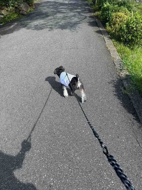 BA6CCF8D-CCCF-4D2F-ACCA-38E6B1DD94BA