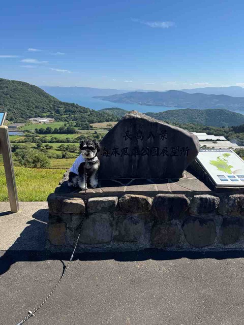 4B7F217B-C17B-4D81-A127-55A40A12E643