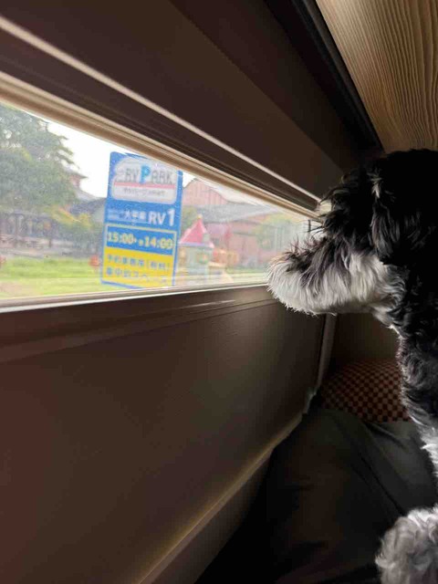 CCC15937-D91E-4079-BF2C-2966D8D89C24