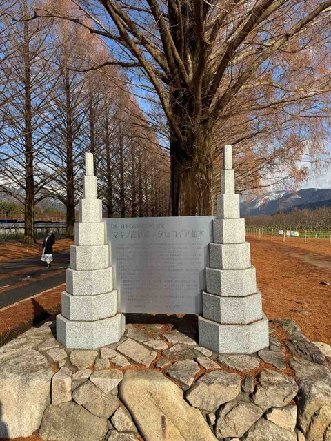 76C3D601-0148-4DC2-ABB7-483CA284FC2B