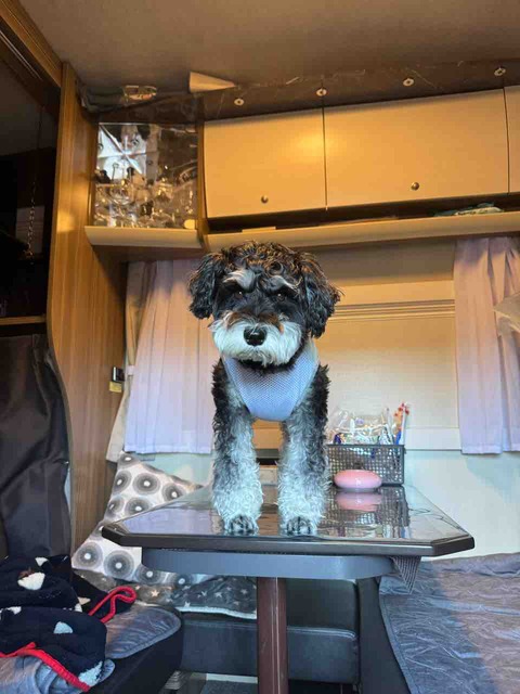 EB325630-9D3D-4A40-A00F-F901C4195DFB