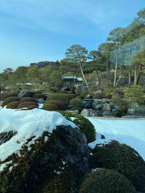 FF6AB8E0-0586-4981-A369-40D6724305BA