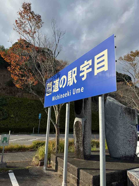 63BB5032-9814-4A58-BEEB-C025DA4B6BCC