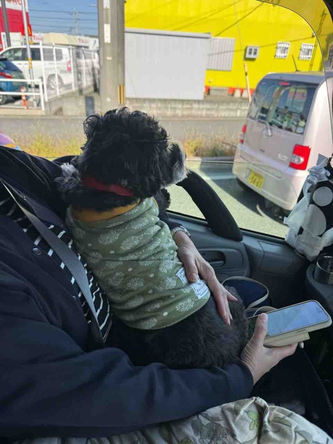 FC54EB4A-0DE4-4810-80E1-3216903DB263