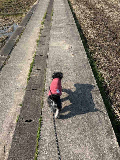 31EADE23-D4B9-4411-BAA8-CB793FFE9CFB