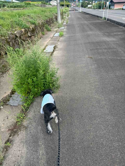 52E01A4F-87FB-45F2-9E63-7816622C56F4