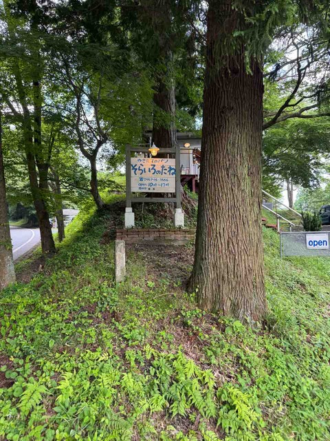 95232A64-C77A-4F31-B62B-6D26F424D5B3