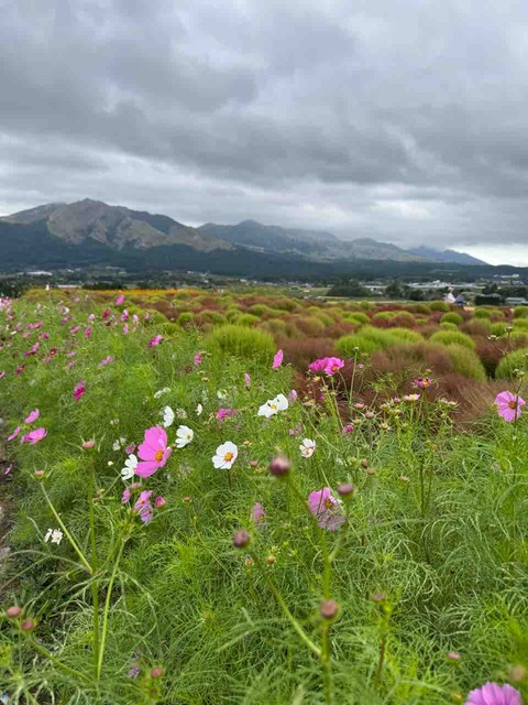 B96F896F-5ED9-48FD-91C8-400CFF58CEA3