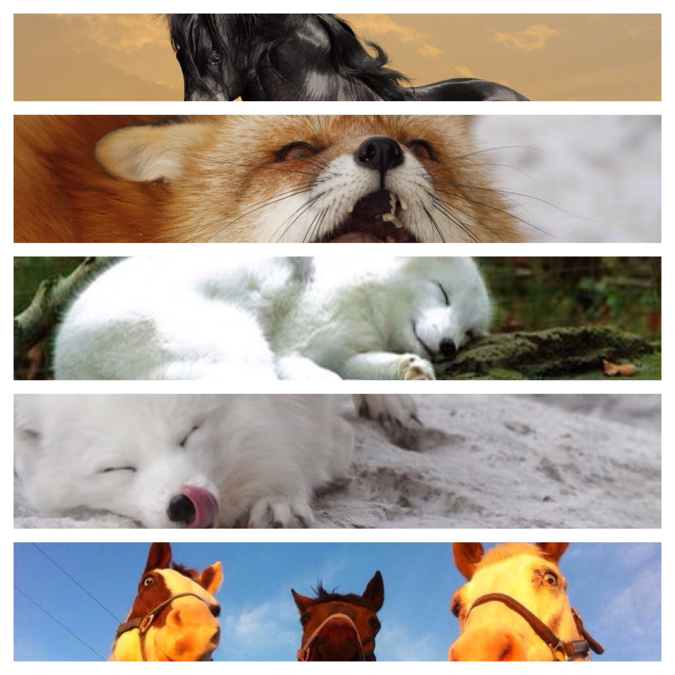 画像まとめ お前らがつかってるスマホの壁紙晒してけ Mspタイムズ 画像まとめ お前らがつかってるスマホの壁紙晒してけ Mspタイムズ