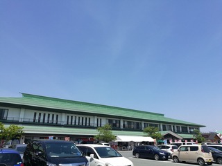 サンプル