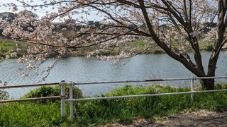 サイクリング