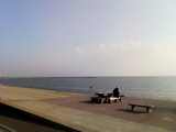 海