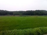 ここはどこ?2