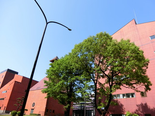 旅行1日目 (78)