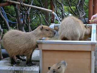 八景島シーパラダイス