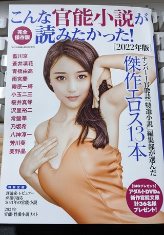 こんな官能小説が読みたかった!