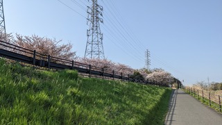 サイクリング