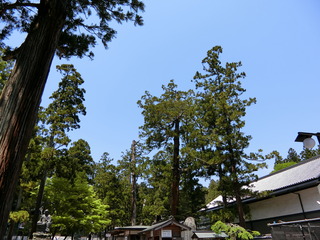 旅行1日目 (60)