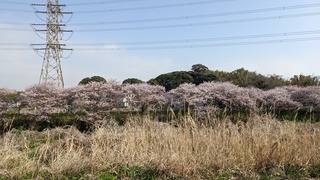 サイクリング