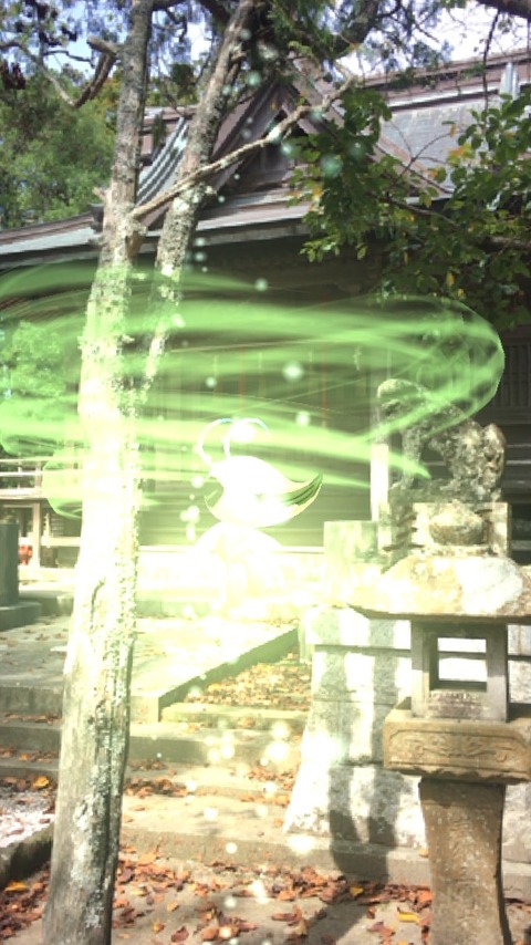 IMG_0009 (編集済み)
