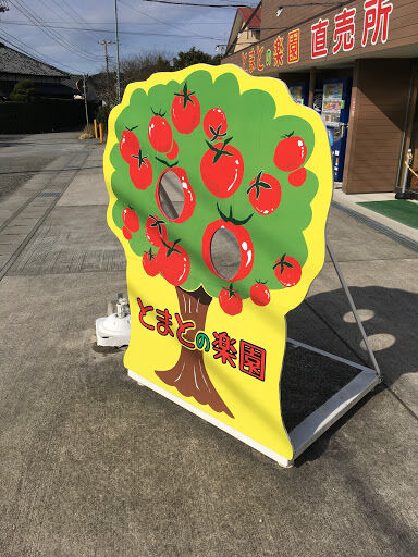 tomato