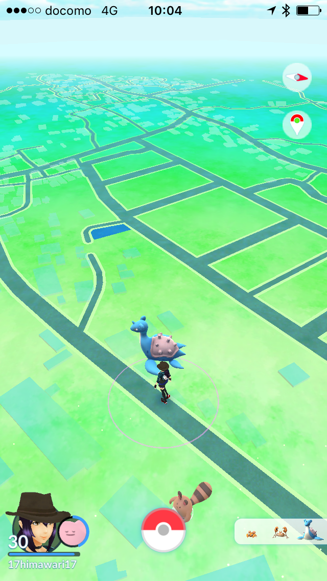 熱闘 冷闘 パイルのみをラプラスに使ったら逃げられた D ポケモンgo ポケストップを求めて 千葉県