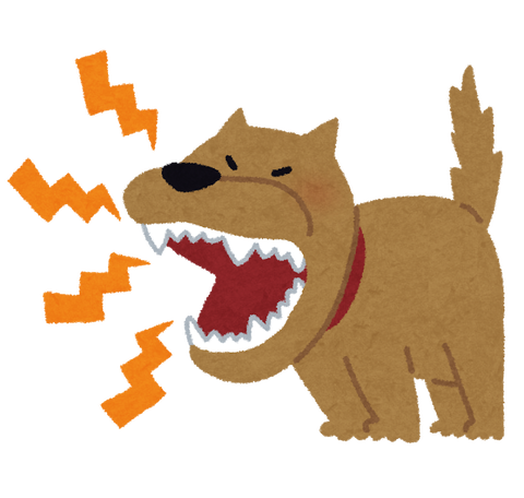 犬