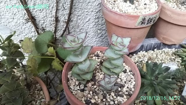お星様特集 hakoniwa お星様特集 hakoniwa