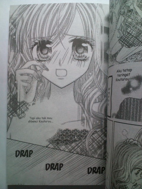 インドネシアの少女雑誌 葵日記