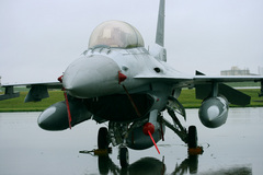 080824-8d-F16.jpg