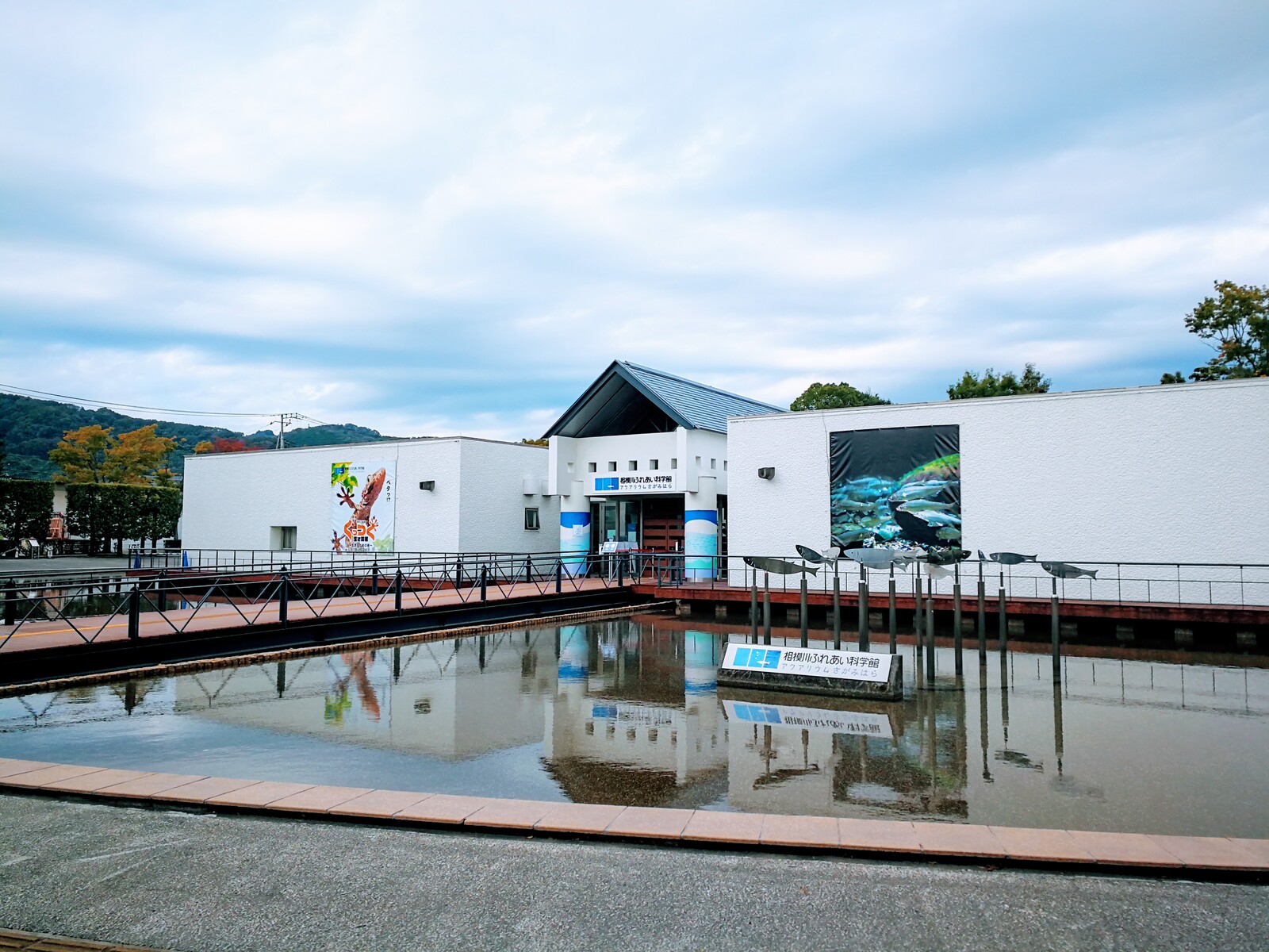 アクアリウムさがみはら キス釣り S K式