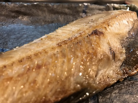 フモフモさん お散歩ブログ ひもの野郎