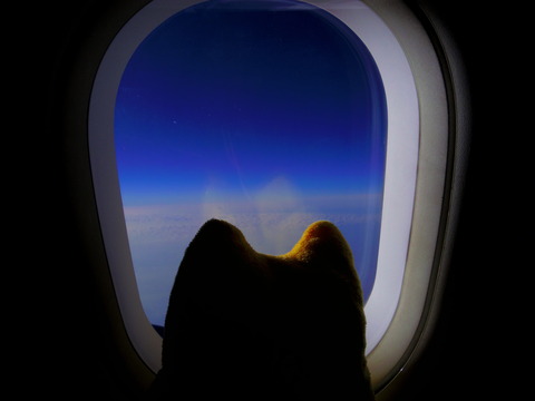 フモフモさん 沖縄ブログ 沖縄