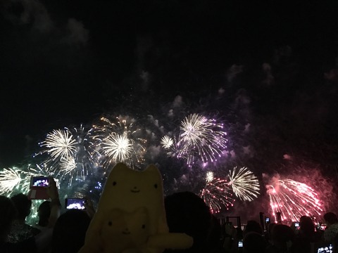 フモフモさん　お散歩ブログ　びわ湖大花火大会　2017