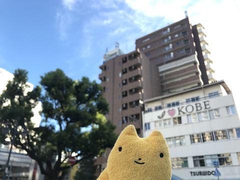フモフモさん お散歩ブログ 神戸巡り