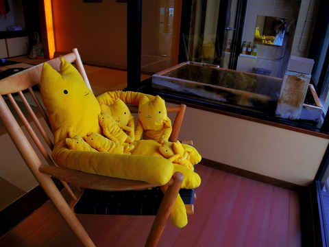 フモフモさん お散歩ブログ びわこ緑水亭 温泉