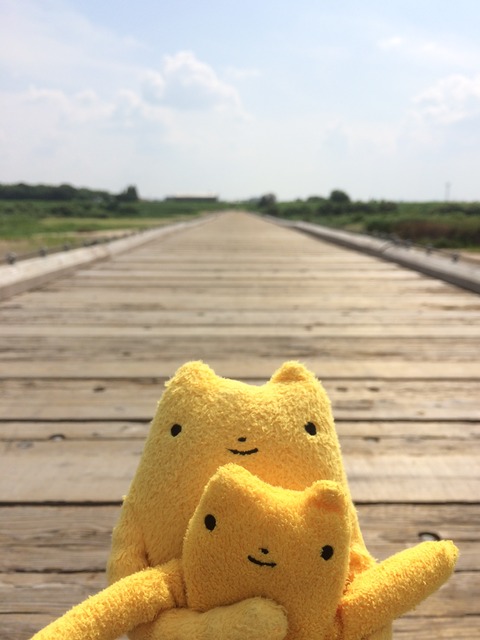 フモフモさん　お散歩ブログ　サイクリング　流れ橋