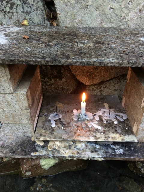 フモフモさん　お散歩ブログ　土用の丑の日　下鴨神社