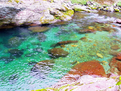 フモフモさん お散歩ブログ 奈良県天川村 キャンプ