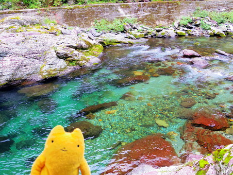フモフモさん お散歩ブログ 奈良県天川村 キャンプ