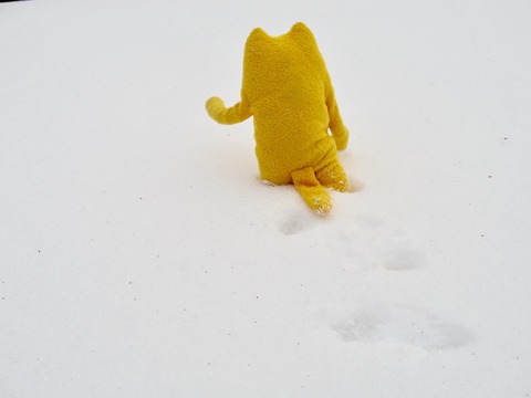 フモフモさん　お散歩ブログ　湯の山温泉