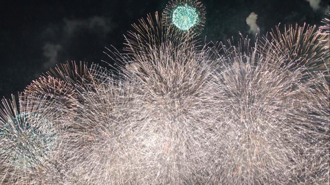 フモフモさん　お散歩ブログ　びわ湖大花火大会　2017